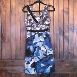 Anthropologie Dress